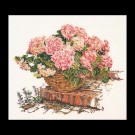 stickpackung hortensia rose