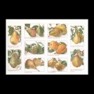 stickpackung peren