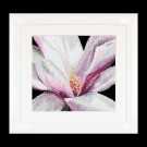 stickpackung magnolia close-up